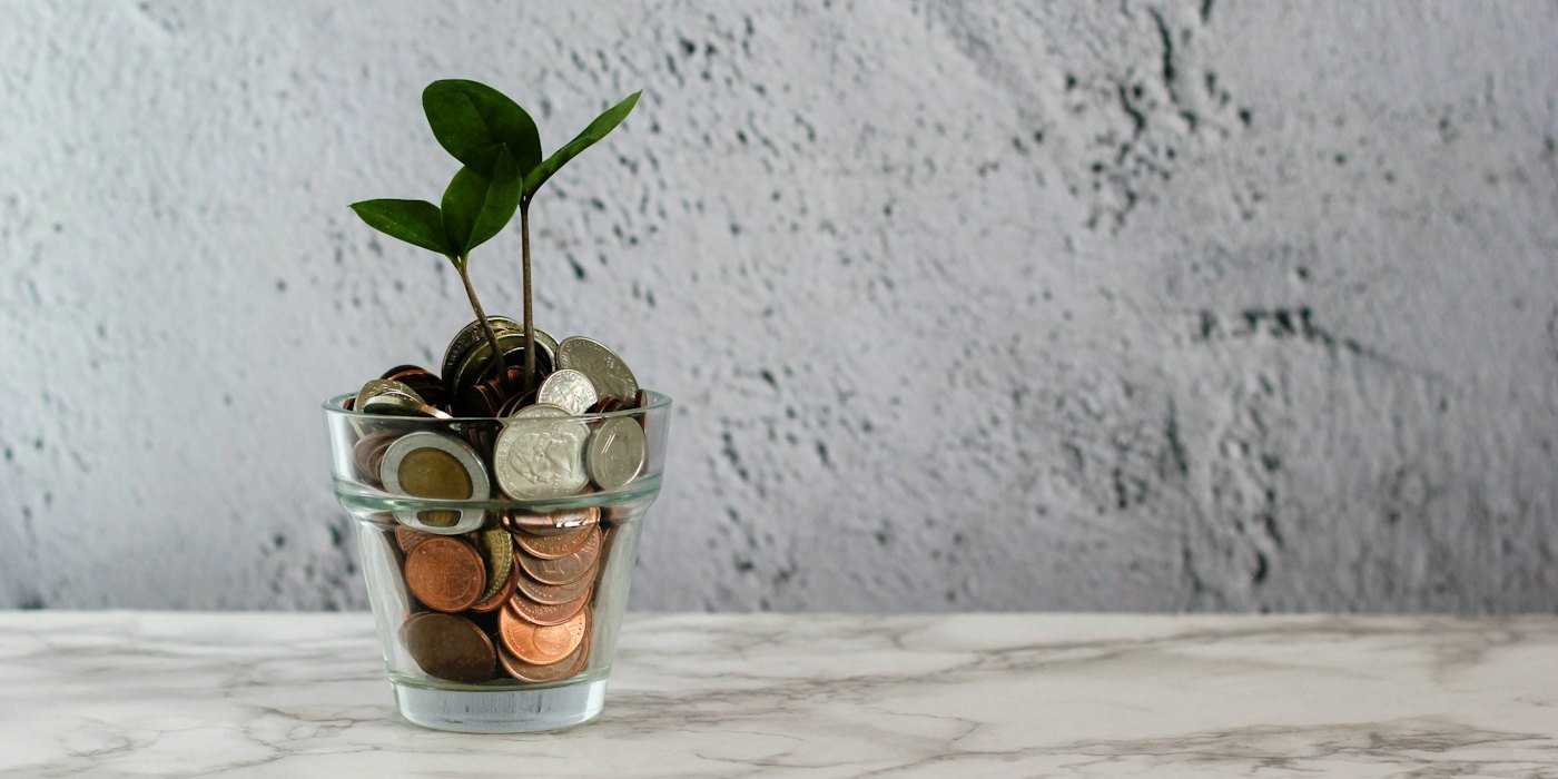 Planta verde en vaso de vidrio transparente — Market timing: por qué intentar adivinar el mercado casi nunca funciona
