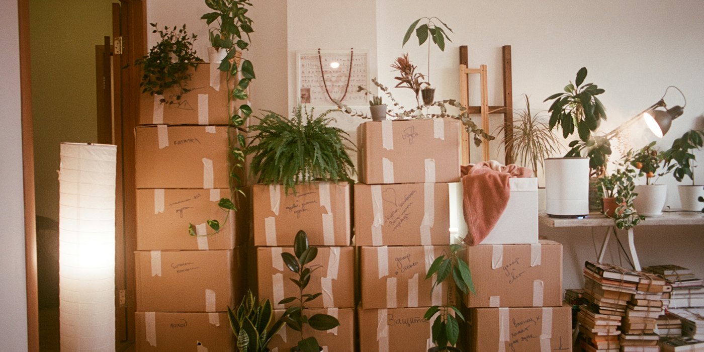 Una habitación llena de cajas y plantas — Vivienda de protección oficial: qué es y cómo acceder